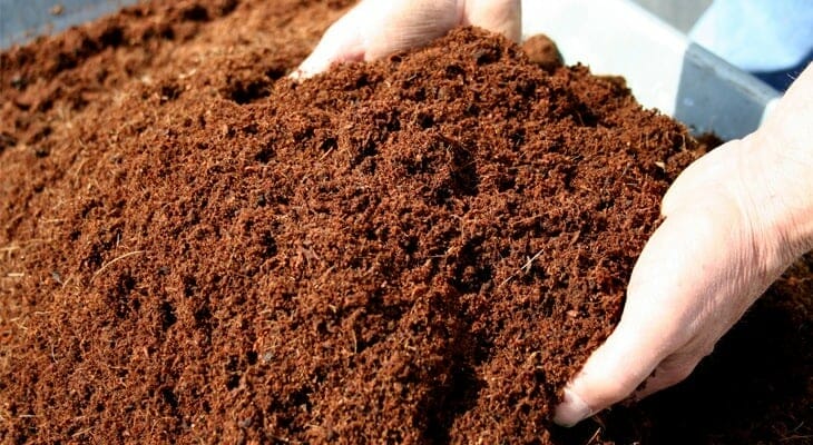 Coco Peat vs Coco Coir