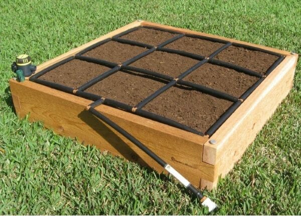 How Many Tomato Plants in a 3x6 Raised Bed