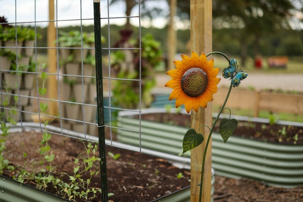 Best Raised Garden Bed Soil