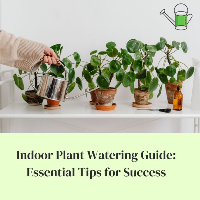 Indoor Plant Watering Guide