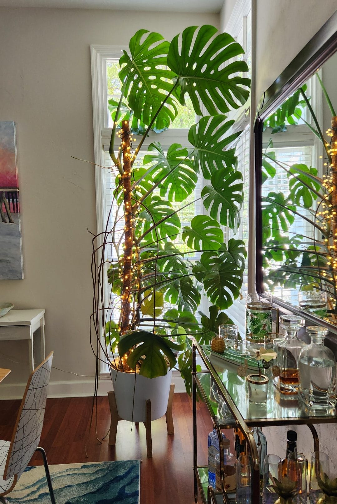 Monstera Aerial Roots: What They Are and How to Handle Them - Gardening ...